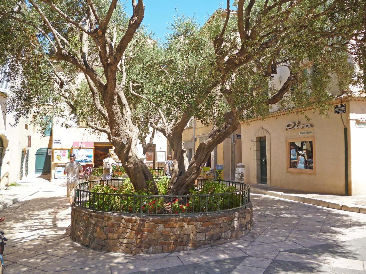 Eden Parc-4 By Interhome Saint-Tropez